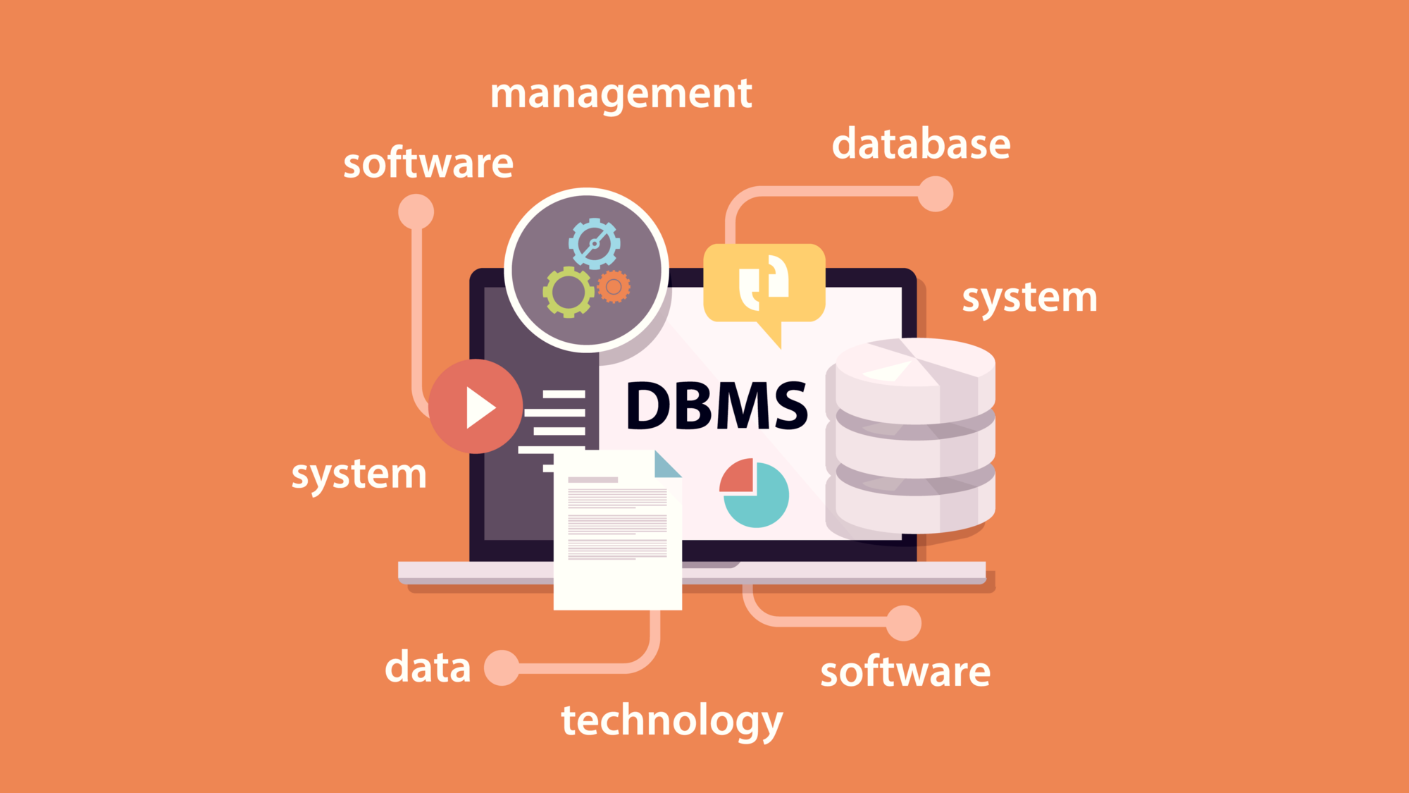 Database Management System (DBMS)